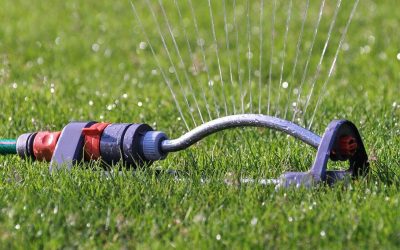 6 Tips for Summer Lawn Maintenance: Keeping the Yard Green and Healthy