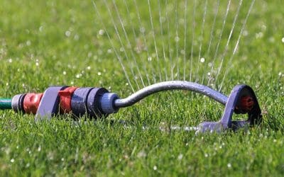 6 Tips for Summer Lawn Maintenance: Keeping the Yard Green and Healthy