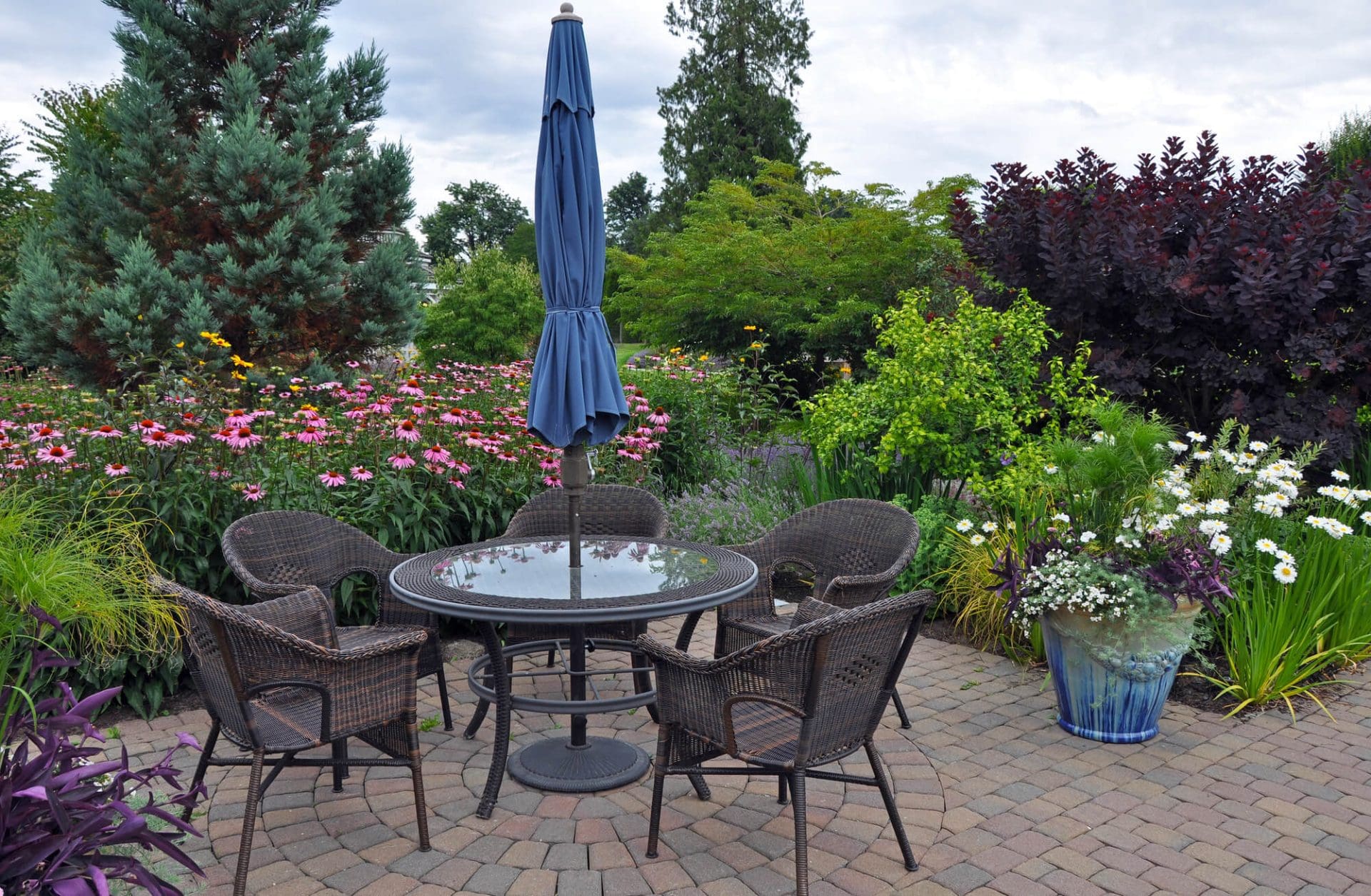5 Plants for Your Patio in Central Florida | Pro Spect Home Inspections Inc.