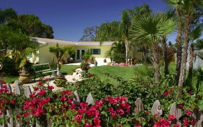 7 Tips to Improve Curb Appeal and Make a Great First Impression