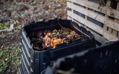 Backyard Composting Tips Every Beginner Should Know