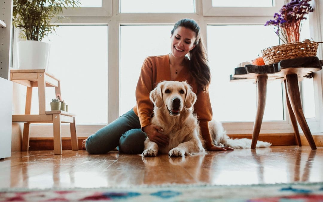 Paws, Claws, and a Safer Home: Your Guide to Pet-Proofing Your Home