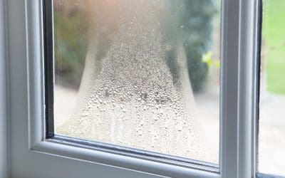 Moisture Problems at Home: Hidden Signs, Causes, and Simple Solutions