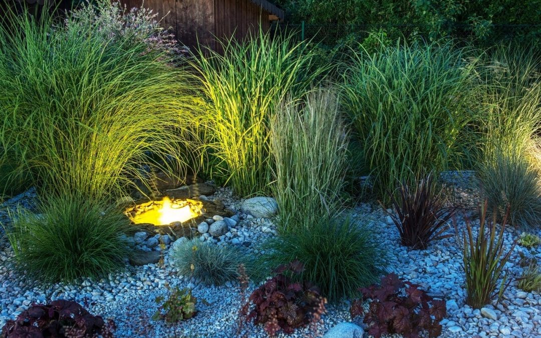 Light Up the Night: A Complete Guide to Planning Your Landscape Lighting