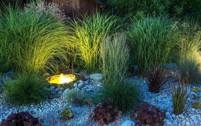 Light Up the Night: A Complete Guide to Planning Your Landscape Lighting